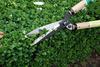 Okatsune Hedge Shears Type 55