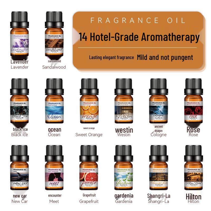 10ML Stone Aroma Diffuser with Deodorizing, Long-Lasting Essential Oil Fragrance Refill