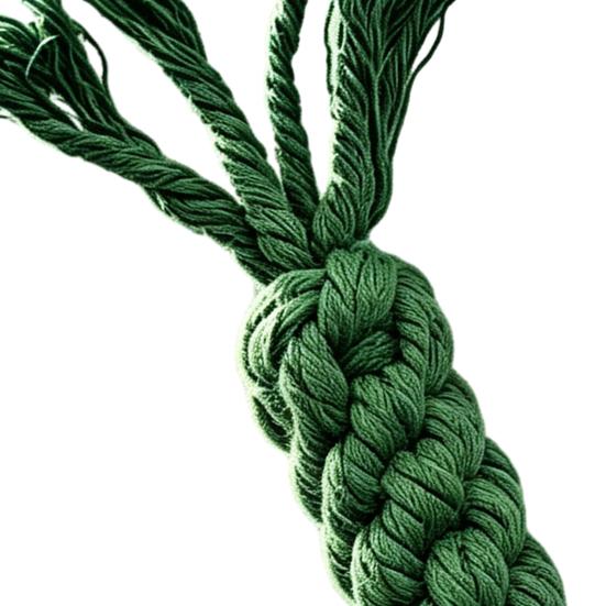 Braided Carrot Dog Toy Safe Cotton Rope Dog Chew Toy Teeth Cleaning Toy for Puppy Teething Interactive Fetch Play