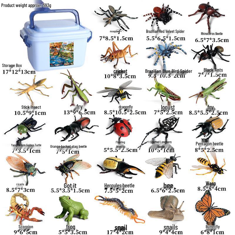 Children s Cognitive Insect Model Set: Centipede, Spider, Butterfly, Scorpion, Mantis, Bee Toys