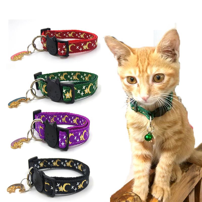 moon collar cat