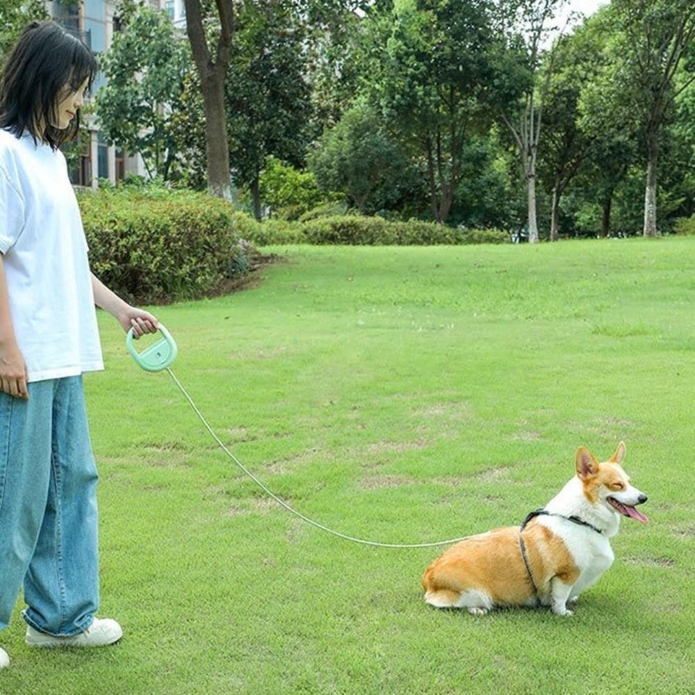 Anti-Slip Handle Pet Traction Rope Reflective Pet Walking Rope Automatic Dog Leash Outdoor Walking