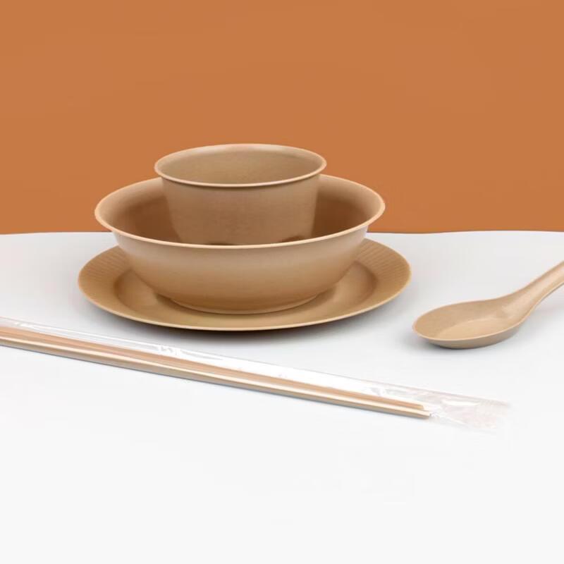 Disposable Ceramic Tableware Set