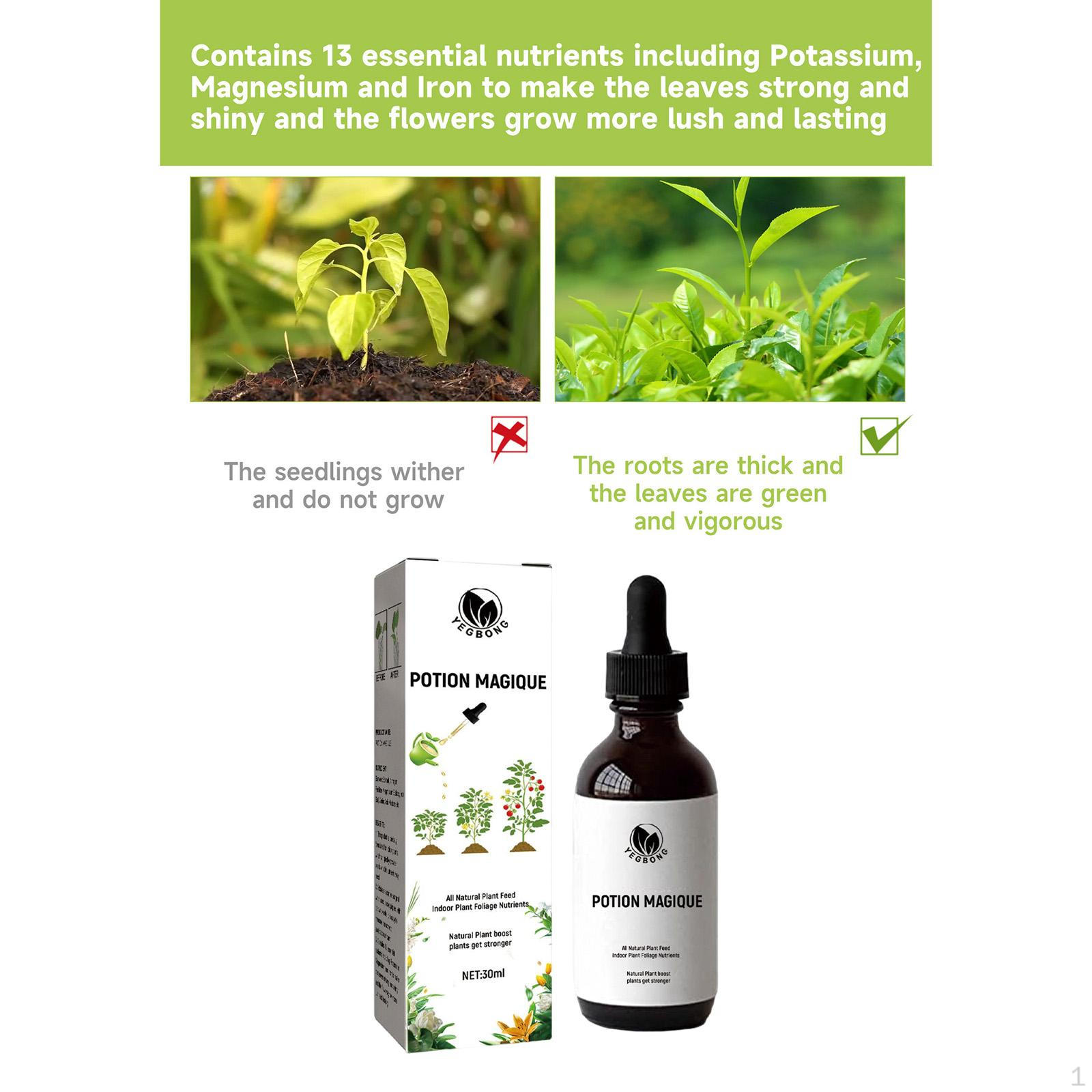 

Растительная жидкость Портативный легкий легкий в использовании для внутреннего патио на заднем дворе