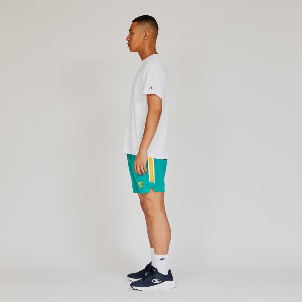 Champion Short Sleeve Crew Odor Script Rubber Men's T-Shirt, White, Neck, Antibacterial, Resistant, Breathable, Quick-Drying, Logo, Print, C3-BV305