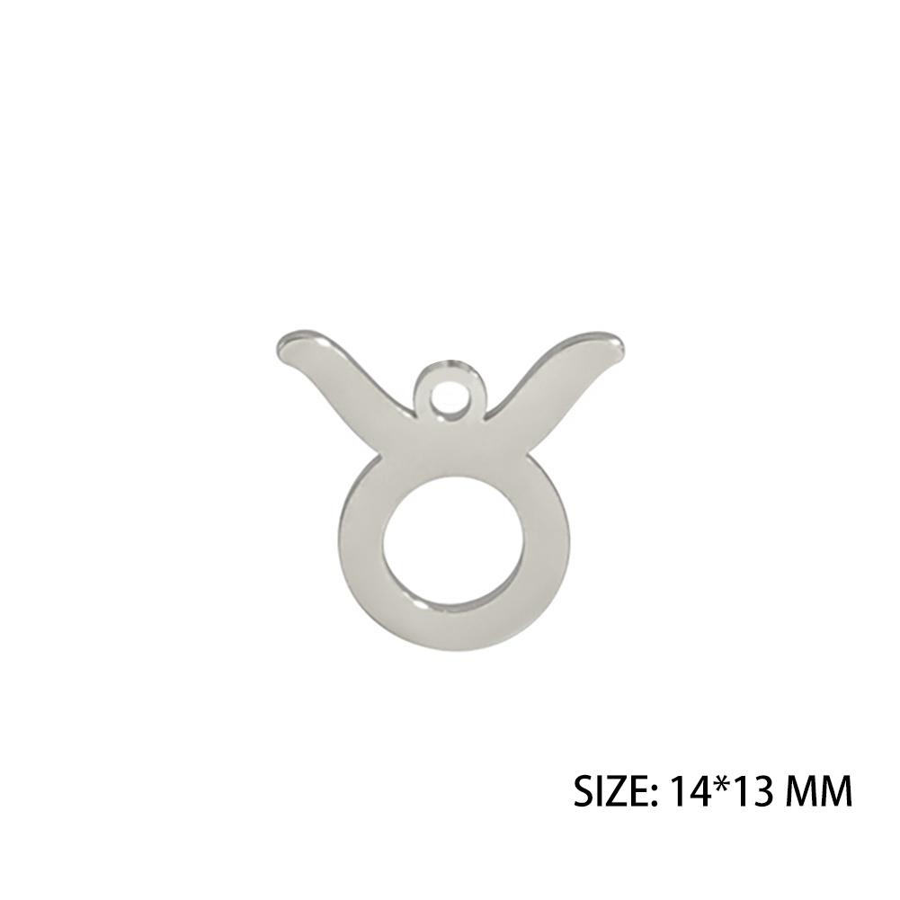 12pcs/lot Stainless Steel Zodiac Charms Horoscope Astrological Sign DIY Pendant for Necklace Bracelet Jewelry Making