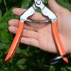 Sagawada 902 Pruning Shears: Ideal for Flowers, Grapes, Fruits, and Vegetables.