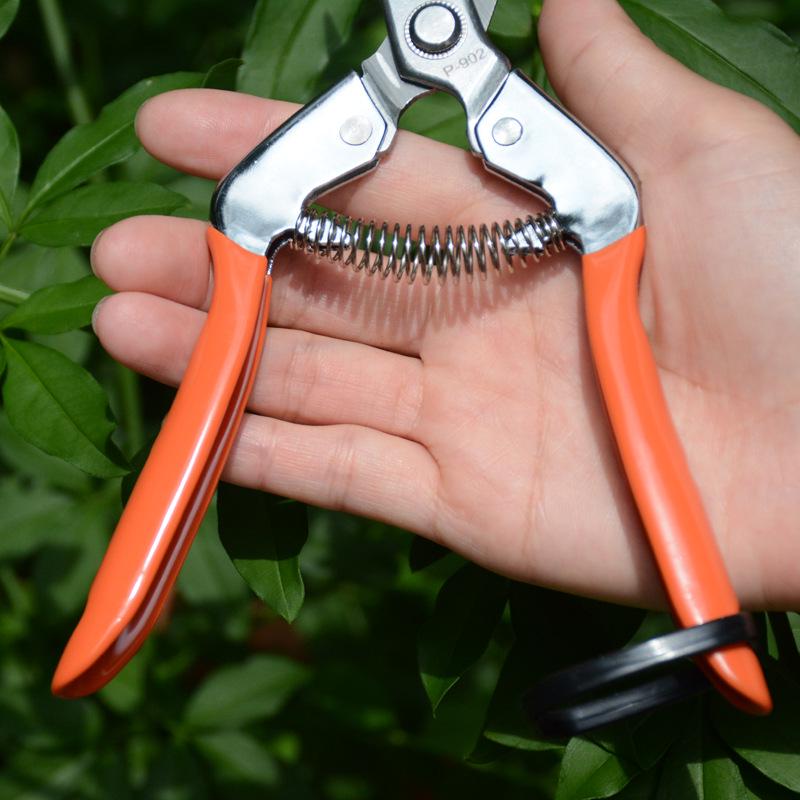 Sagawada 902 Pruning Shears: Ideal for Flowers, Grapes, Fruits, and Vegetables.