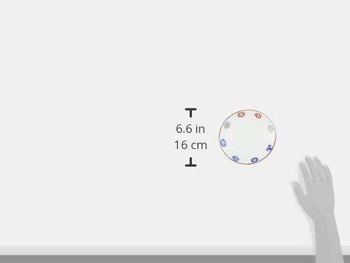 Arita Ware Takeken Kiln Dyed Brocade Round Pattern Oval Side Plate Set 52437