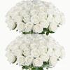 Rose di Seta Bianca Fiori Artificiali per San Valentino, Festival Qixi e Decorazioni per Matrimoni