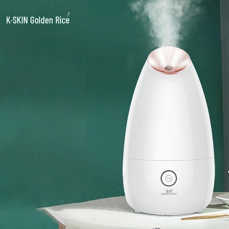 

K·SKIN Nano Ionic Facial Steamer