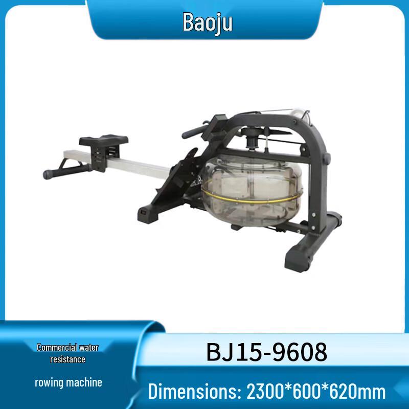 Baoju Professional Fitness Equipment