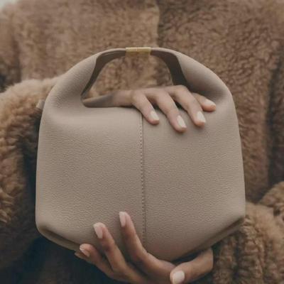 2025 Sommer Damen High-End Textur Lunch Bag: Tragbar, als Schulter- und Crossbody-Modell