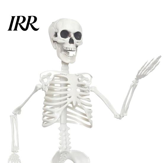 Reusable Halloween Decoration 3ft Life Size Skeleton, Full Body Posable Plastic Skeleton Prop, Realistic Model Human Bones for Yard Patio Lawn Garden