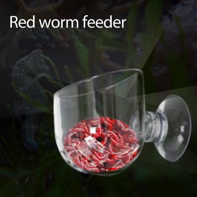 Transparent Glass Feeding Food Red Worm Cup With Strong Suction Cup Fish Tank Supplies