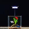 USB Aquarium LED Light 360° Rotatable Fish Tank Clip Lamp Water Plant Lamp  Aquarium Plants