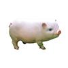 Garden Pig Statue, Outdoor Resin Piggy Ornament, Cute Piglet Sculpture, Farmhouse Decoration for Yard Lawn Patio