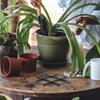 10Pcs Plant Pot Feet Elevators Minimalist Design Heat Resistant Ventilated Base for Indoor Outdoor Flower Pots Planter