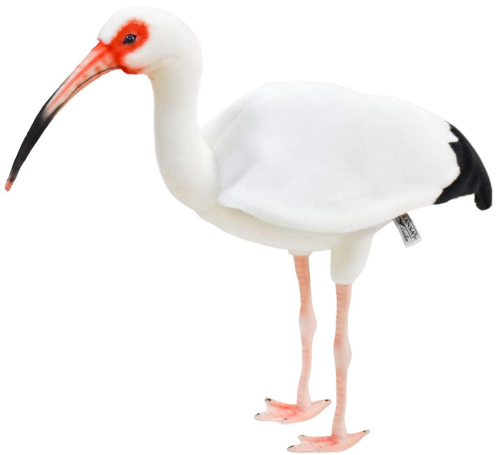 BH8192 HANSA White Ibis 54