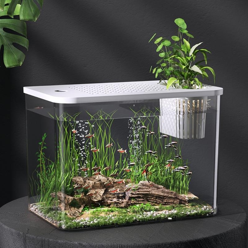 Clear Fishtanks With Safe Lid and Water Plant Holder For Gold Fish Home Desktop Decoration Aquariums Tanks