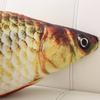 60/75/100/120cm Simulare 3D Carp Jucării de Pluș Animal Moale Umplut Pește Pluș Pernă Creativă Pernă de Canapé Cadou Jucărie pentru Copii