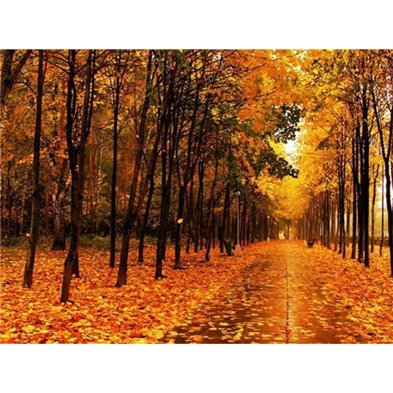 

5D DIY Алмазная вышивка Лес Полный круглый дрель Мозаика Алмазная картина Пейзаж Вышивка крестиком Осеннее украшение дома Full Round 20x30CM