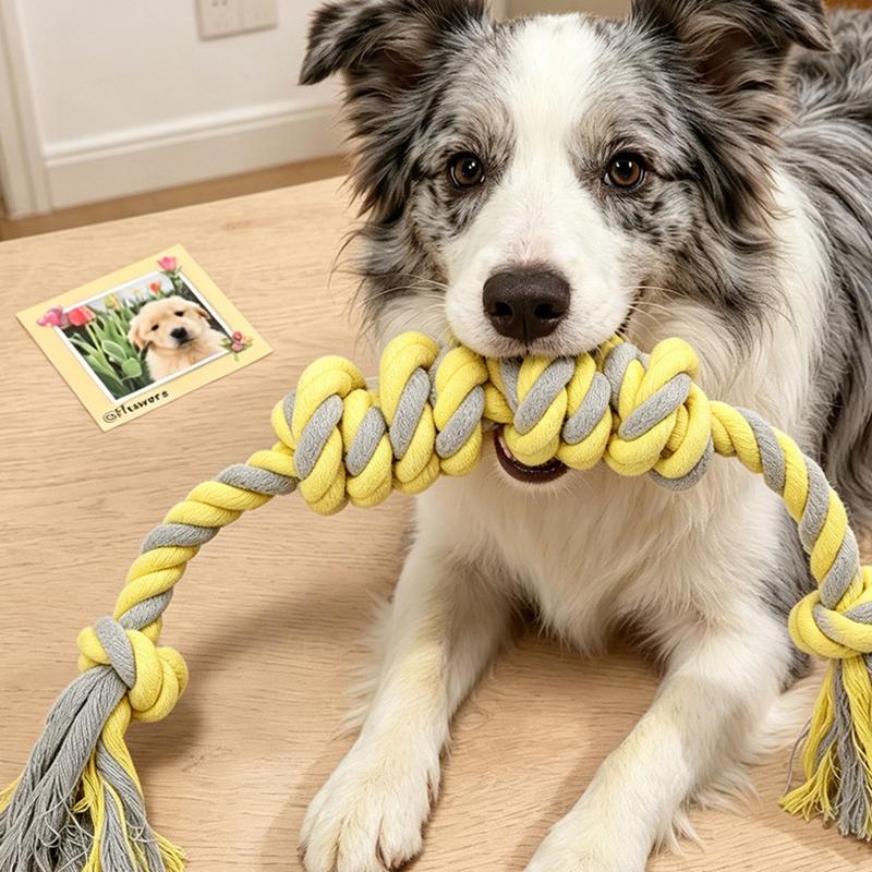 Hot Sale Pet Cotton Rope Dog Toy Chew Resistant Toy Cotton Rope Six Knot Suitable for All Dog Breeds Pet Supplies