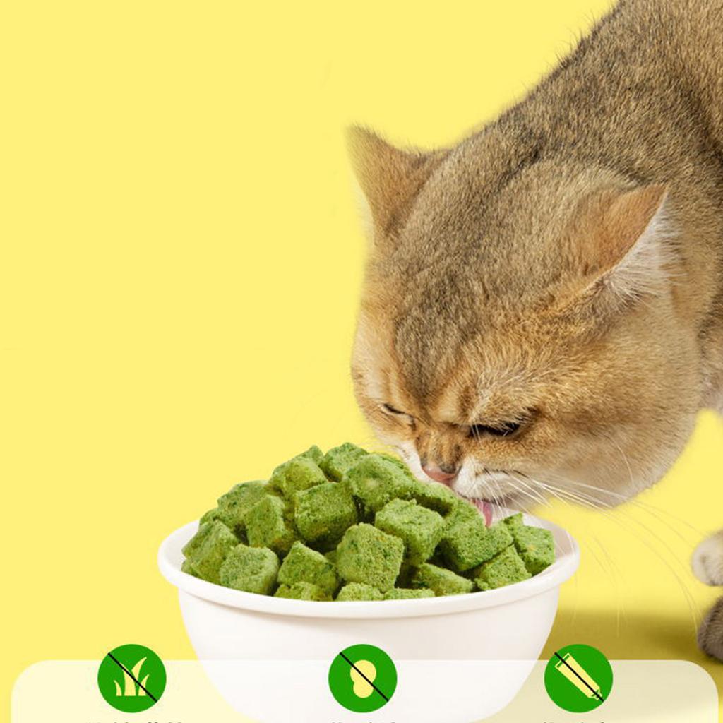 Natural Cat Grass Snack for Cats Dental Healthy Cat Care Chewing Licking Snack Cat Hairball Control Freeze Dried Snack
