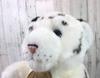 Real Spot White Tiger