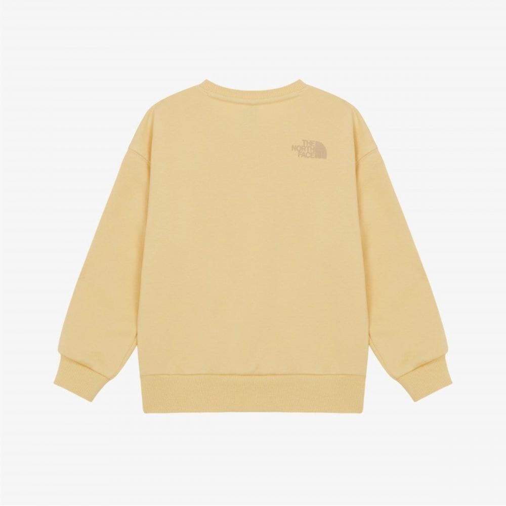 The North Face Kids Animate Sweatshirt Light Yellow Nm5mr55v