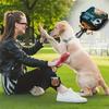 3/1PCS Zippered Dog Training Snack Bag - Portable Polyester Pet Snack Bag, Suitable for Outdoor Activities and Walking, Durable Zippered Closure