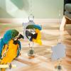 Pet Supplies Acrylic Bird Cage Mirror Hanging Square Parrot Bell Toy Durable Parrot Cage Toy for Parakeet Cockatiel Finch