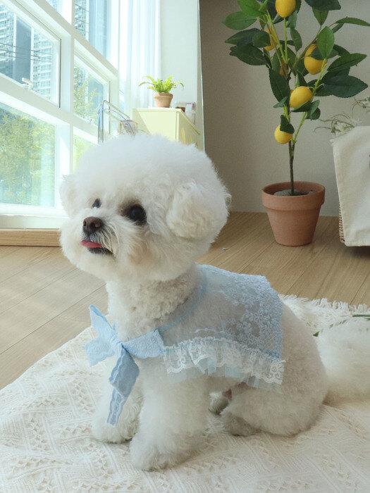 Ханёль мунг мунг Кружевное кейп феи Динь-Динь Sky