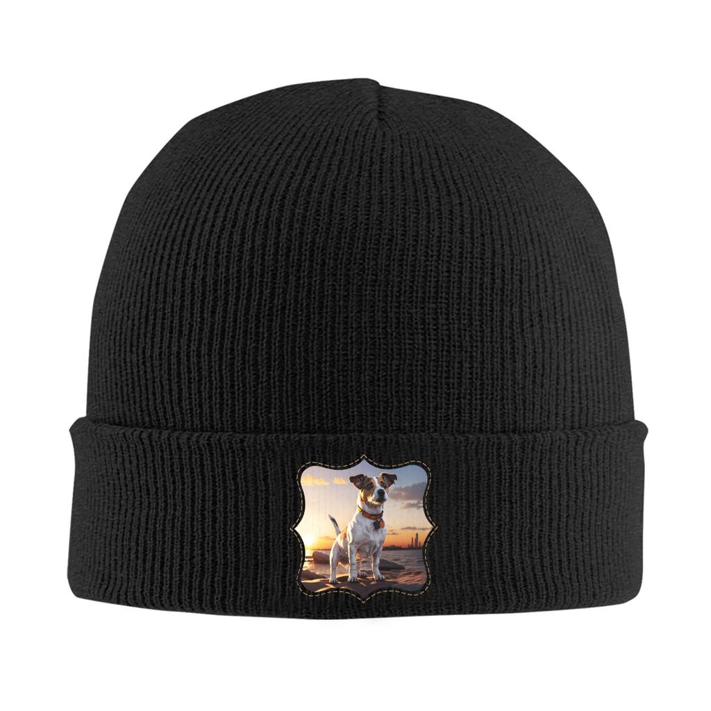 Jack Russell dog at sunset  Winter Skullies Beanies Hat Warm Autumn Knitted Hats Bonnet Caps for Women Men