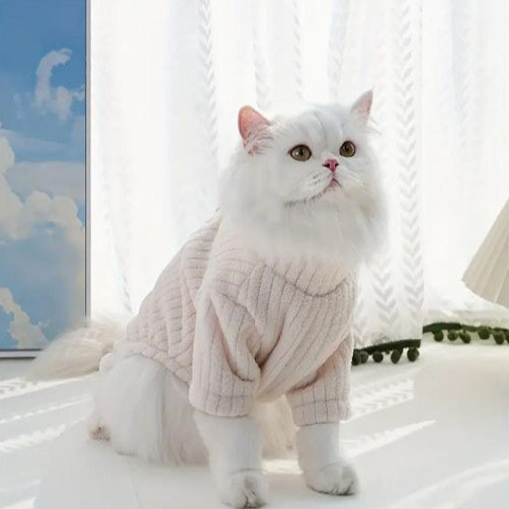 Combinaison d'hiver en peluche pour animaux de compagnie, combinaison chaude pour chien, salopette tendance pour chiot, pyjama mignon et doux, combinaisons, tenues pour animaux de compagnie, vêtements pour chien Chihuahua