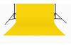 Adjustable Stainless Steel 3M Background Stand with Telescopic Crossbar