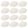 20pcs Sea Shells Natural Scallop Shells For Baking Serving Reusable Seashell Dinnerware For Barbecue Seafood Diy Craft Tableware