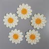 10pcs Daisy Sunflower Knitted Fabric Patch Decorative Patches Beautiful Chrysanthemum Flower Hair Clip Headband Hat Decoration