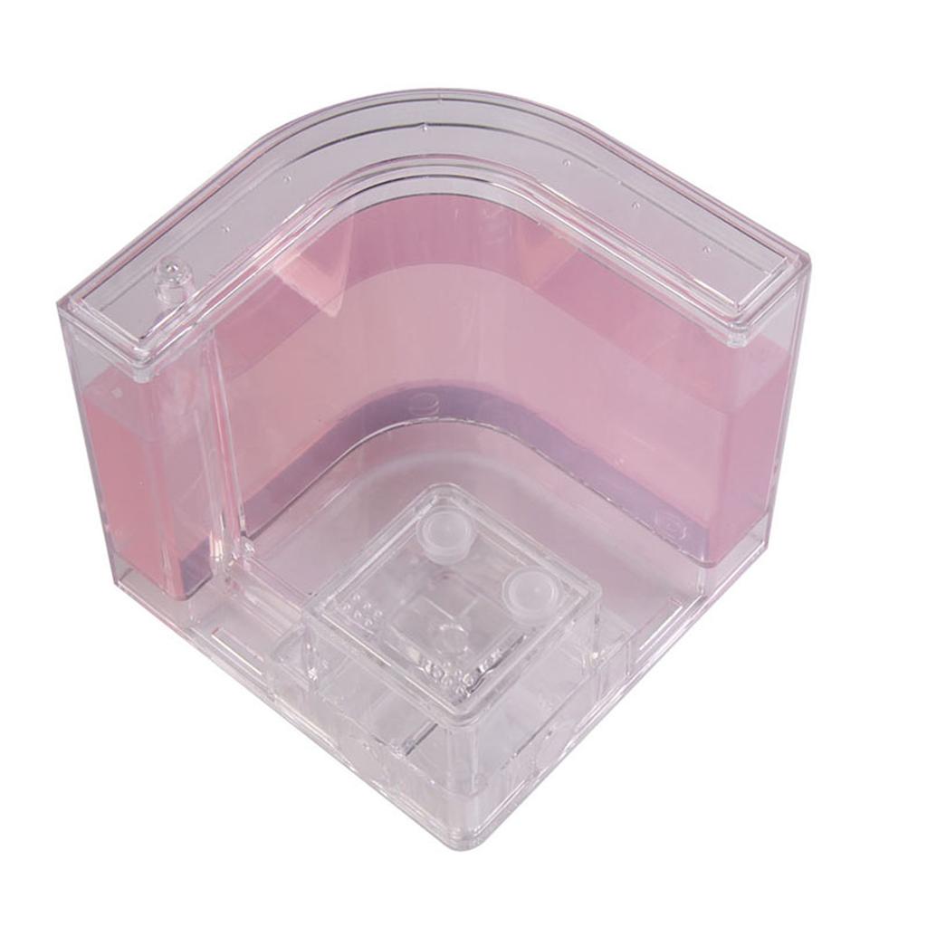 3D Ameisenfarm Bildendes Labyrinth Bildungs- & Lern-Wissenschaftskasten Spielzeug zum Studium Architektur Ökosystem