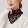 Transparent Lace Fake False Collar Elegant Detachable High Collar False Blouse  Clothes Accessories