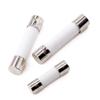 Fast Blow Tube Fuses 250V 0.5A 1A 2A 3A 4A 5A 6A 6.3A 8A 10A 15A 20A 25A 30A AMP Fuse Ceramic Fusible 5×20mm 6×30mm