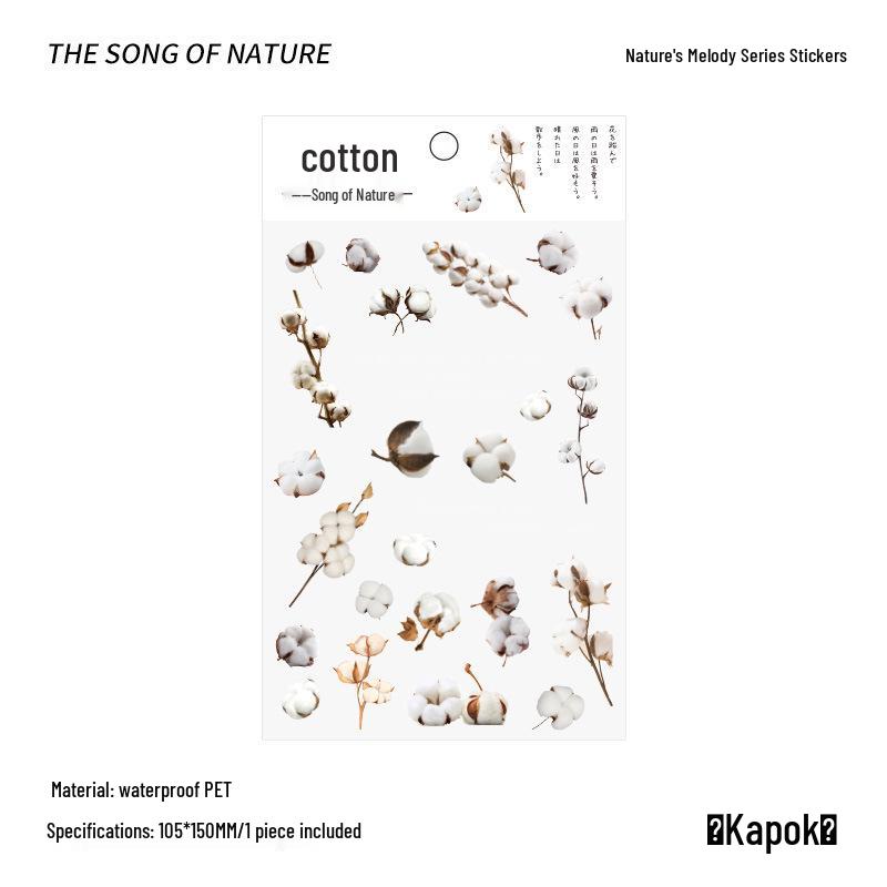 PVC Flower & Plant Stickers for DIY Crafts, Journals, Collages & Kids' Gifts