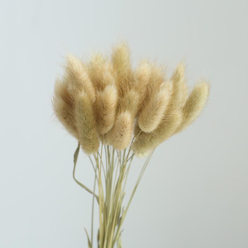 Yunnan Dried & Immortal Flowers Bouquet: Baby's Breath, Roses, Forget-Me-Nots for Home & Homestay Decor
