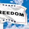 Charlie Kirk Freedom Flag 3x5 Ft Memorial Yard Sign Patriotic Garden Banner for Outdoor Patio Lawn Backyard Hanging Decor
