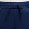 Kids' Teenagers Nike Knitted Sweatpants AcademySwoosh Midnight Marine Blue/Midnight Marine Blue/White