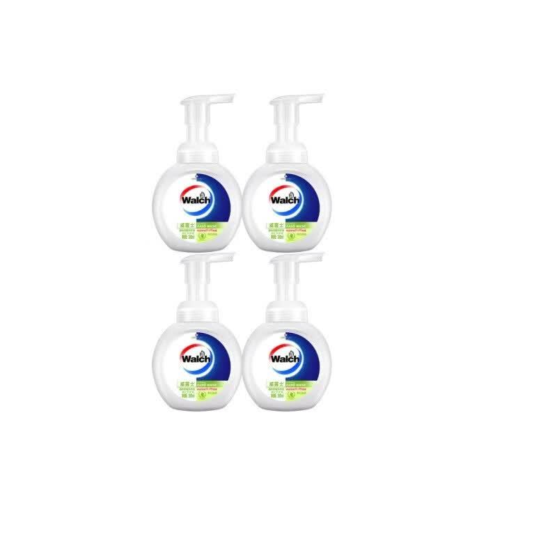 Walch Lime Foam Antibacterial Hand Wash