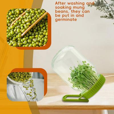 Coperchio per Germinazione Yousheng con Supporto Coperchio per Germogliare Fagioli per Barattoli Mason Plastica Senza BPA Kit Germogliatore Strumenti Facili per la Germinazione dei Semi per Erba Medica