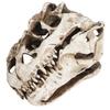 Resin Dinosaur Skull Personality Animal Skeleton Ornaments Props Halloween Collection Craft Decor