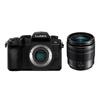 Panasonic Lumix G95D Mirrorless Vlogging Camera Kit (CN version)