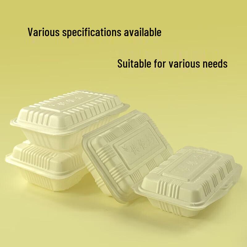 Disposable Takeaway Lunch Boxes